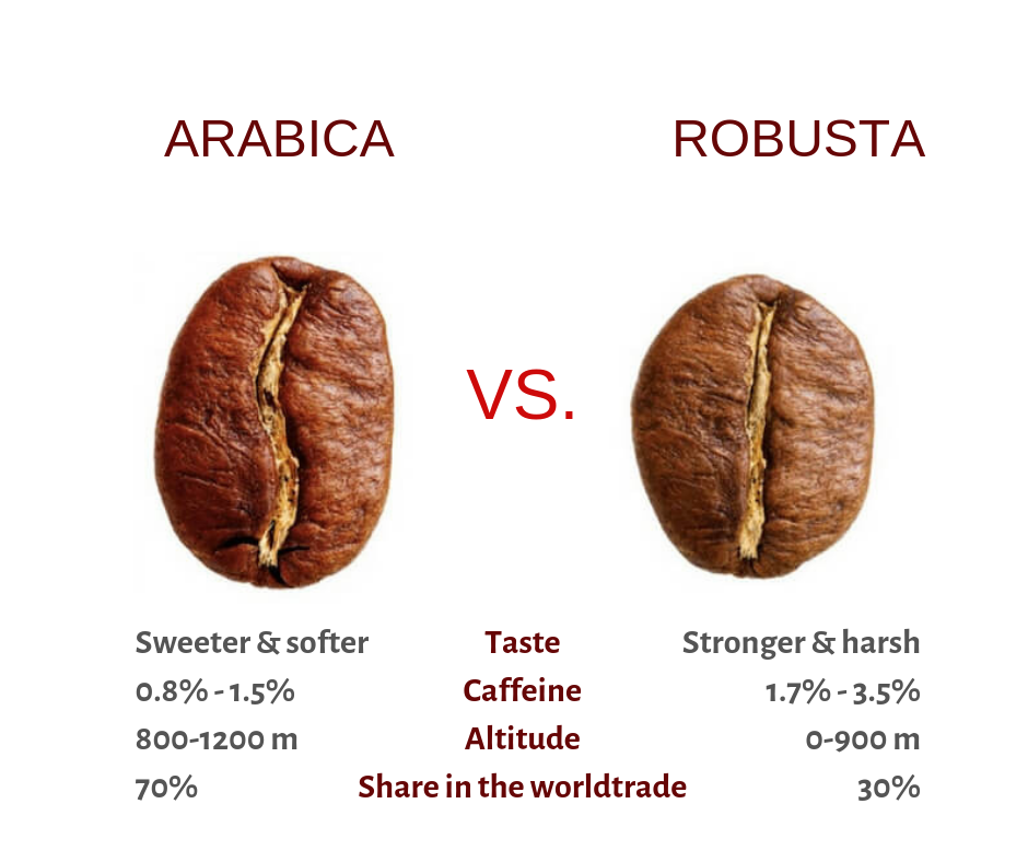 Что лучше: арабика или робуста — рейтинг хорошего кофе в зернах 2022 года