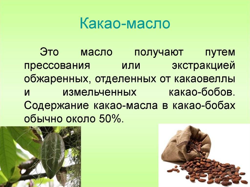Масло какао - применение, характеристики и полезные свойства