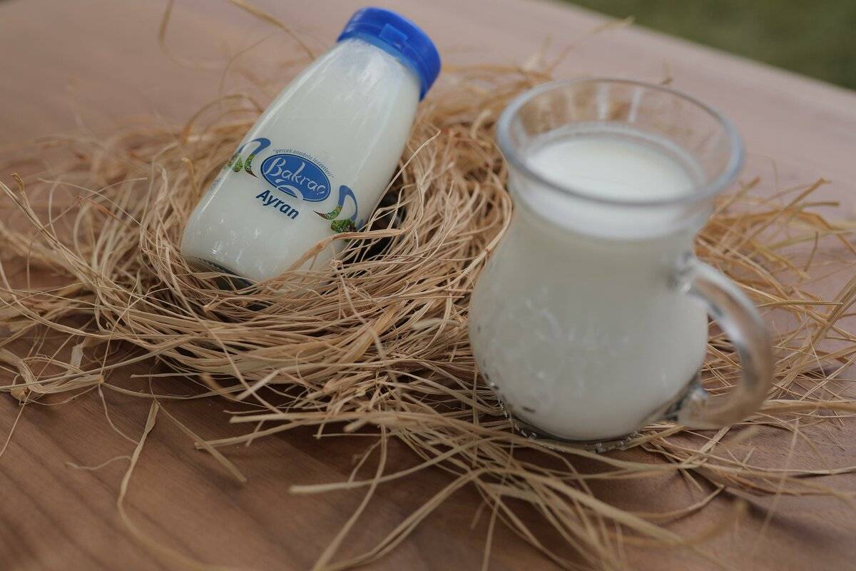 Что полезнее из молочных продуктов – обзор 14 вариантов, среди которых молоко, кефир, простокваша, катык, варенец и другие