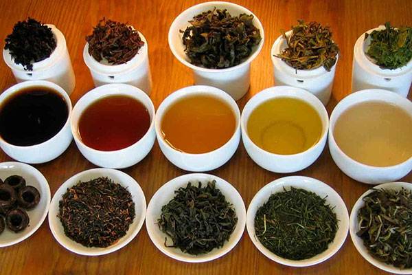 Индийский чай – виды и описание, где выращивают, как заварить и как выбрать