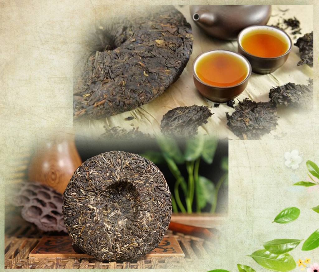 Обзор 9 главных видов и сортов чая от пуэра до типсового