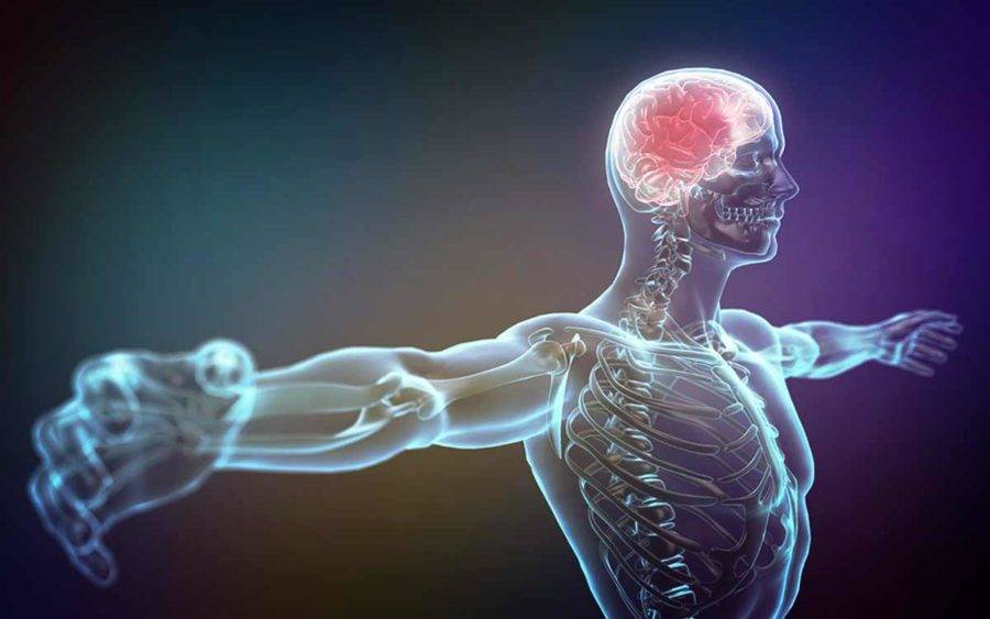 Отвар мать-и-мачехи: польза и приготовление