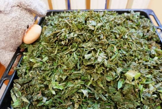 Как сушить иван чай: способы сушки в домашних условиях
