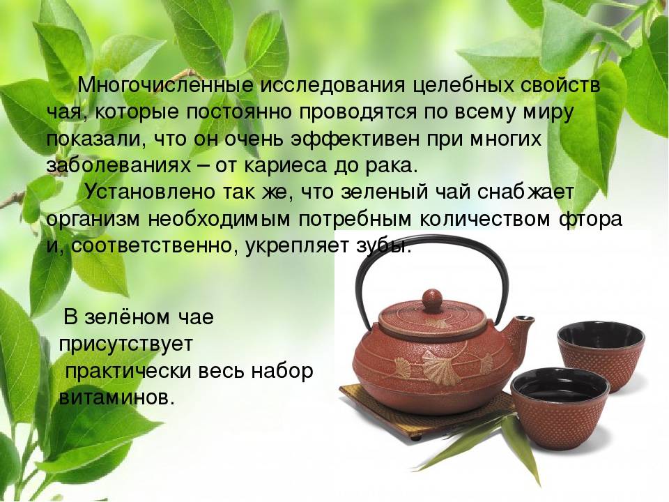 Зелёный чай польза и вред для женщин и мужчин