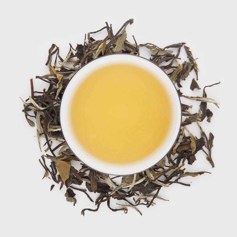 Китайский чай белый пион (бай му дань). польза и вред напитка, замедляющего старение