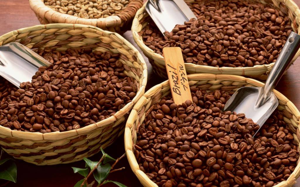 Характеристика сорта арабики Мокка (Mocha)
