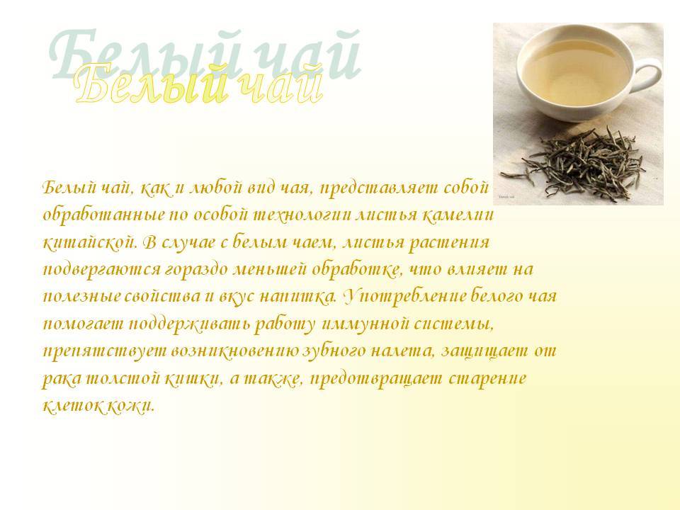 Чай масала: польза и вред, рецепты приготовления, состав, отзывы