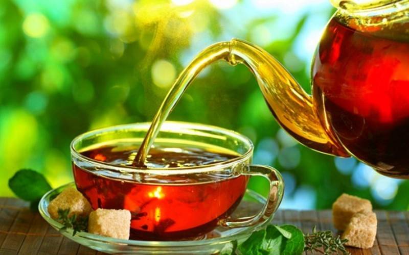 Чай с клюквой – полезные свойства, рецепты приготовления