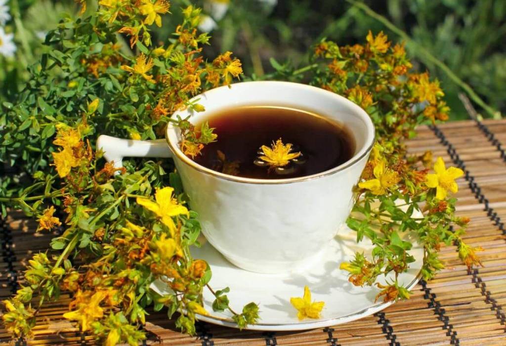 Чай из зверобоя: польза и вред, как заваривать и принимать