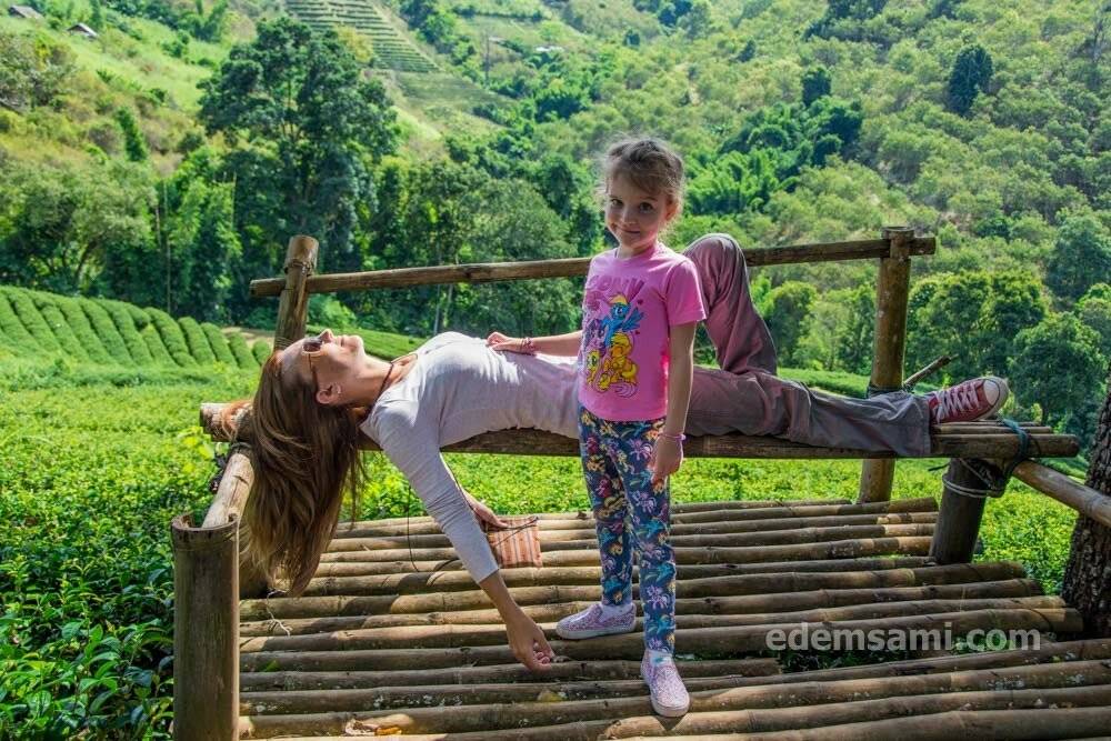 Тайский зеленый чай