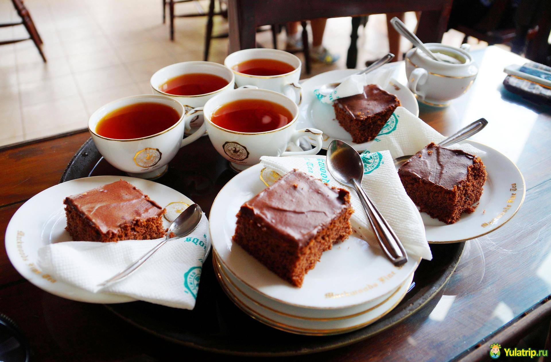 Лучшие чайные плантации мира – чай не ведает границ