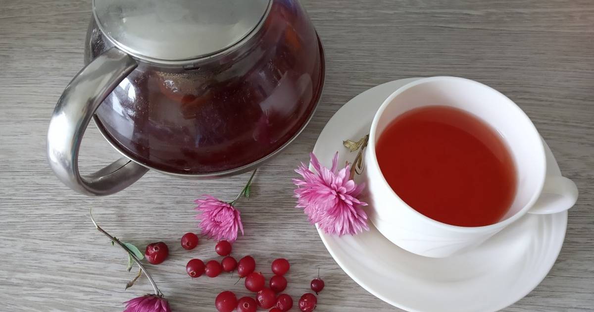 Чай с клюквой – полезные свойства и противопоказания
