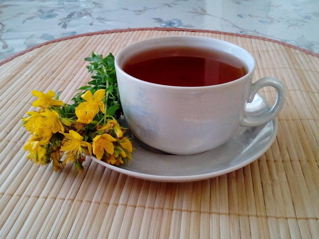 Чай из зверобоя: польза и вред, свойства, противопоказания и рецепты, как сушить