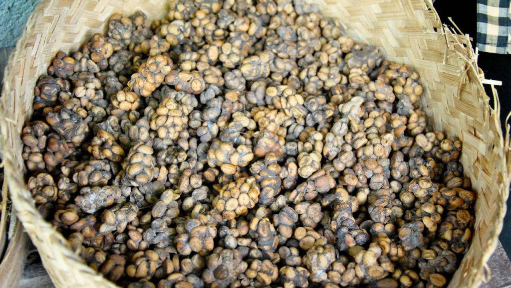 Как выбрать лучший молотый кофе