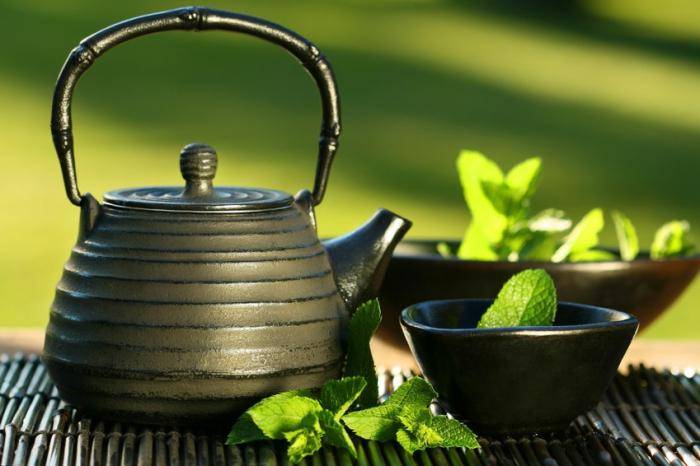 Желтый египетский чай Хельба — полезные свойства, как заваривать