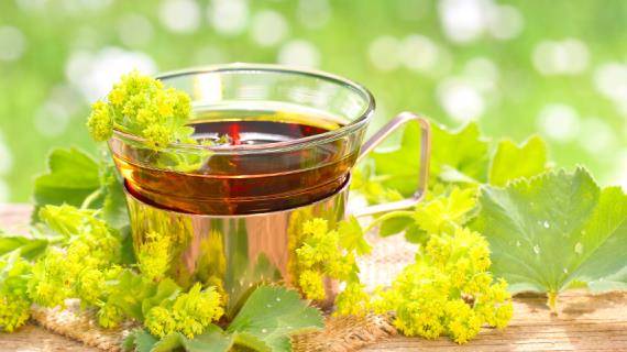 Чай от простуды: какой пить, рецепты заваривания в домашних условиях