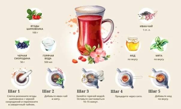 11 рецептов витаминного чая, повышающего иммунитет