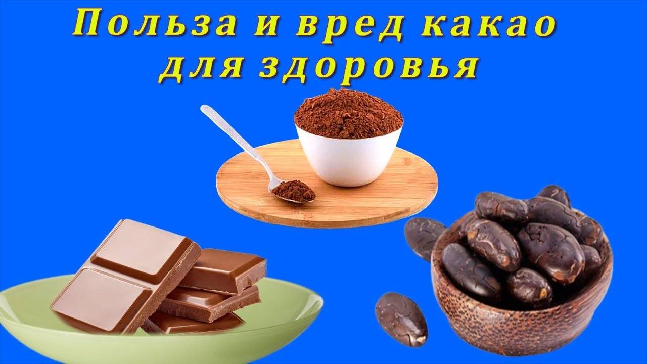 Полезные свойства какао для организма человека