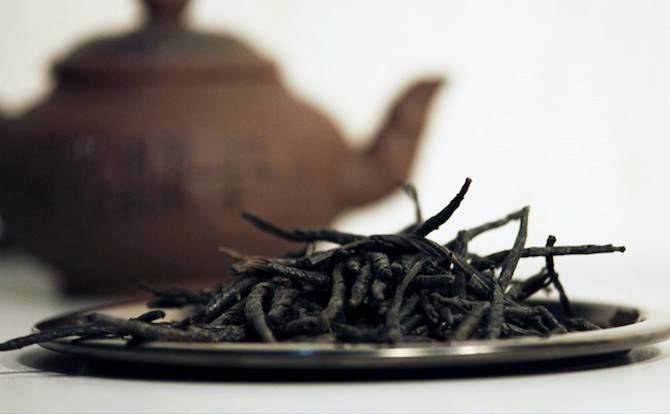 Чай кудин поможет обрести стройную фигуру. как принимать чай кудин