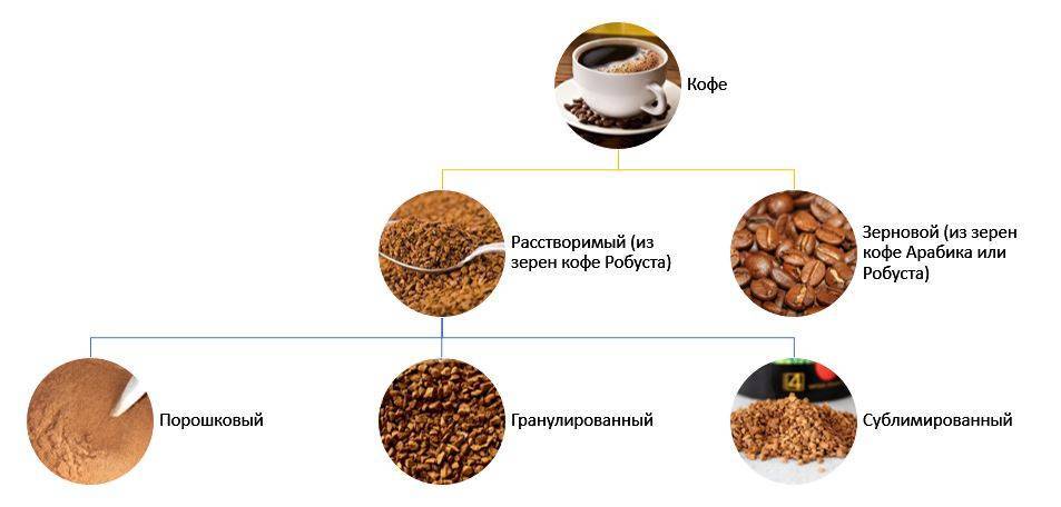 Польза и вред сублимированного кофе, процесс производства, отличия