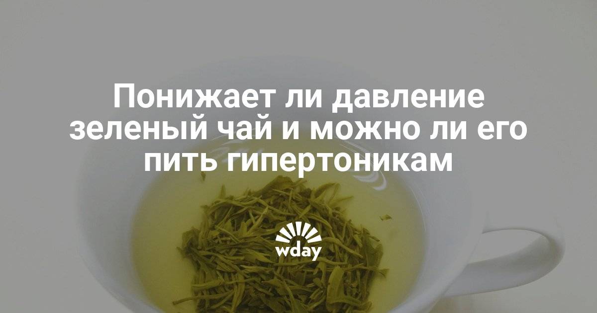 Зеленый чай повышает или понижает давление: как влияет, можно ли пить при гипертонии