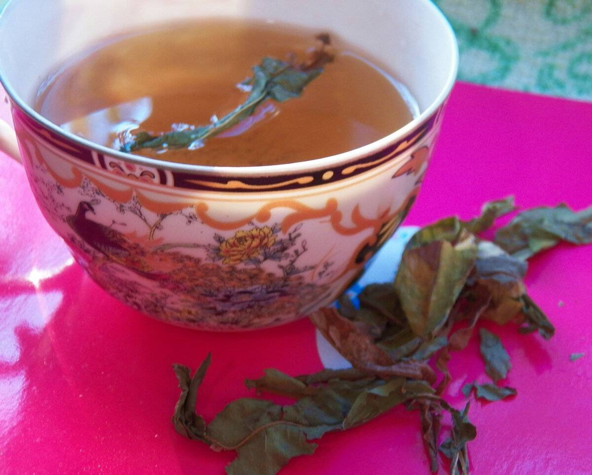 Приготовить иван чай в домашних условиях не сложно - нужно только ваше понимание ценности растения и желание быть здоровым.