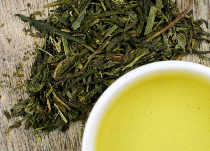 Чай сенча – сочетание незабываемого вкуса и пользы