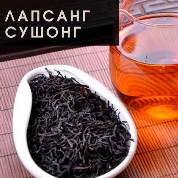 Чай лапсанг сушонг: описание, свойства, польза и вред, противопоказания, хранение