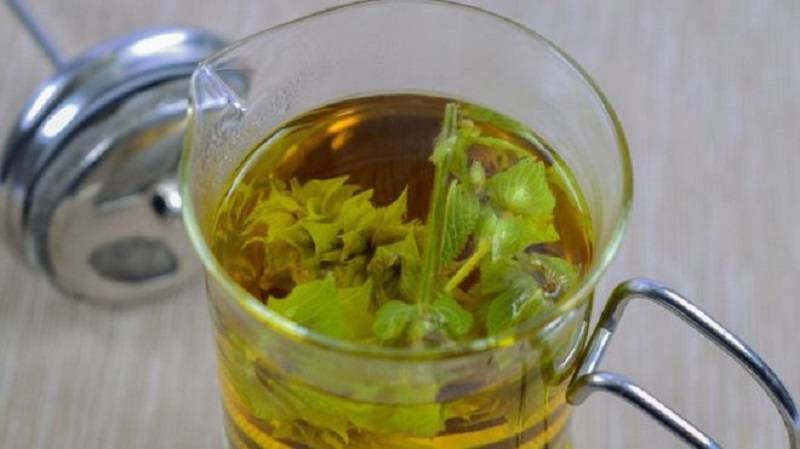 Чай с шалфеем — польза и вред