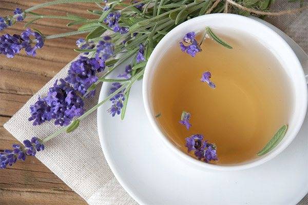 7 простых рецептов ароматного чая с лавандой