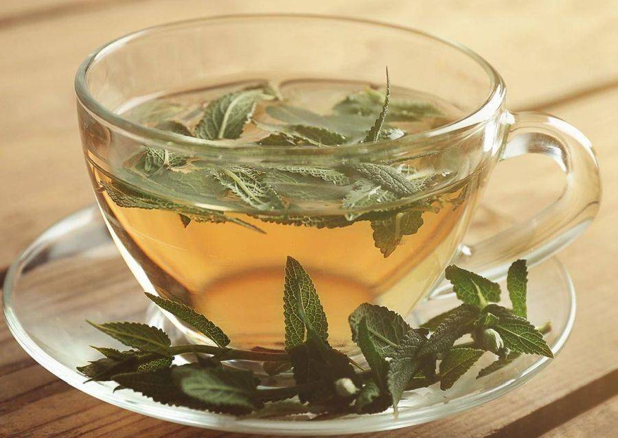 Чай с шалфеем — неоспоримая польза или же есть противопоказания?