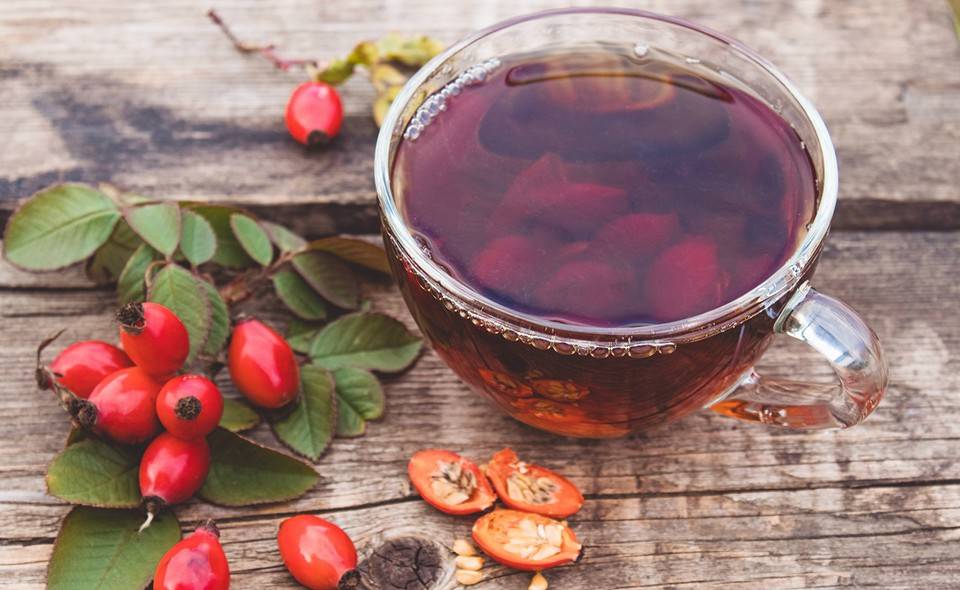 Чай с калиной — как правильно приготовить полезный напиток