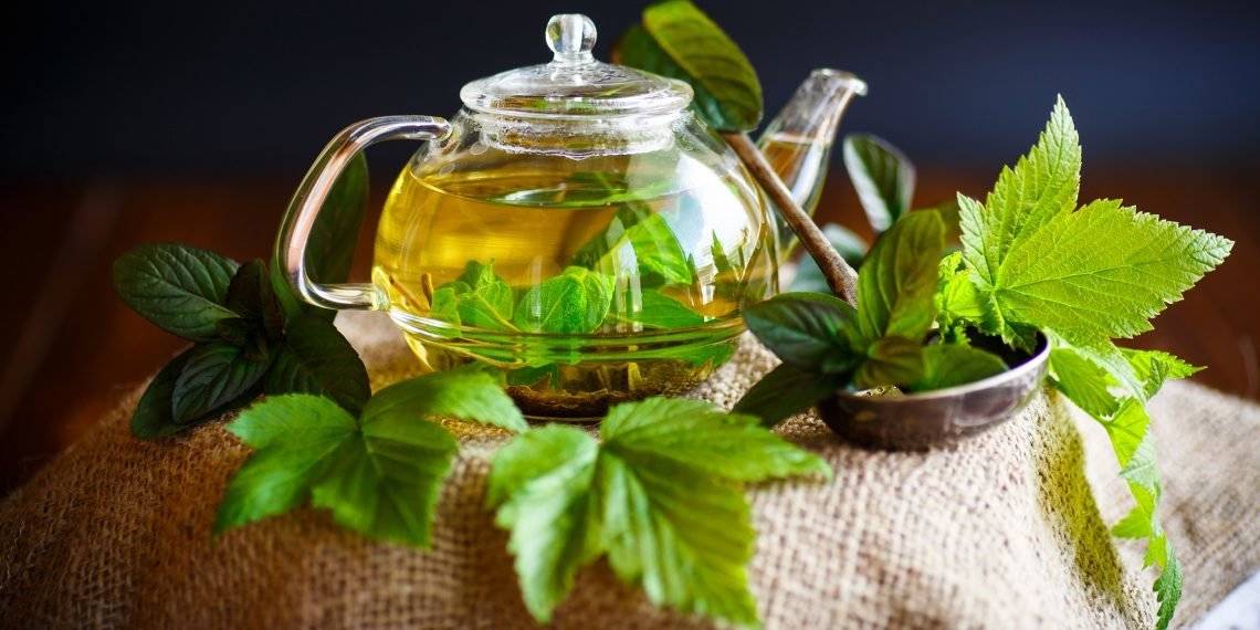 Чай из листьев смородины - польза и вред напитка