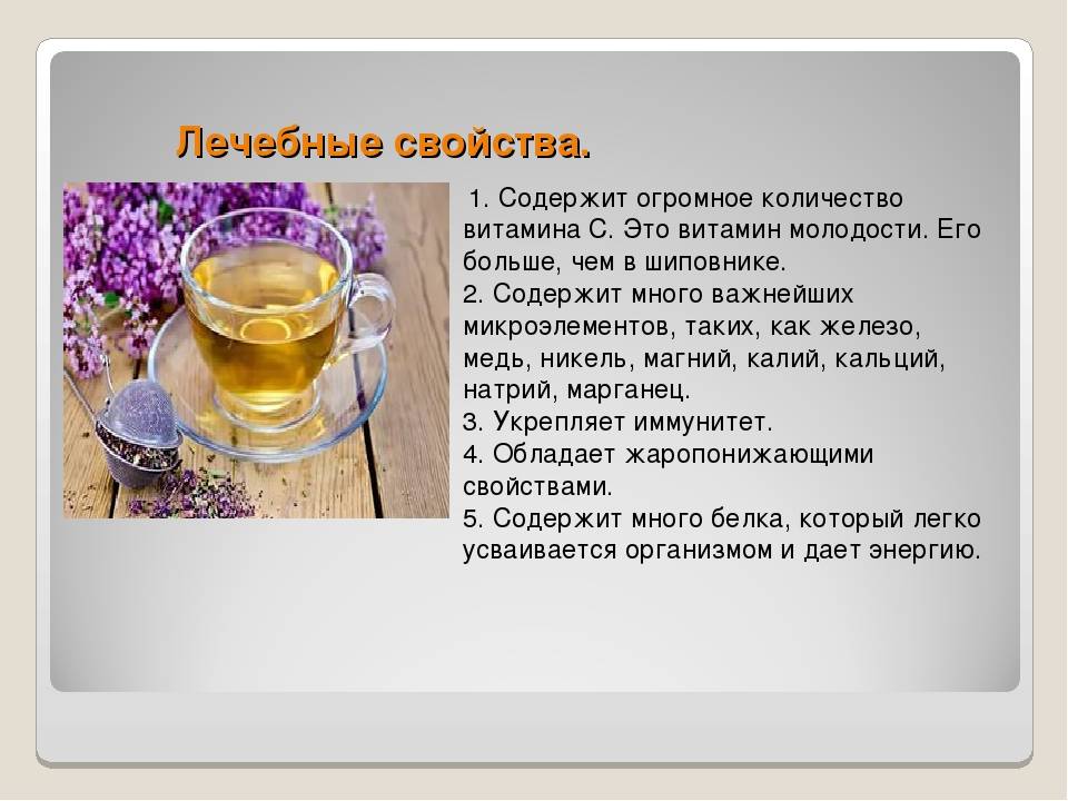 Иван чай целебные свойства рецепты как заготавливать мед.портал фармамир