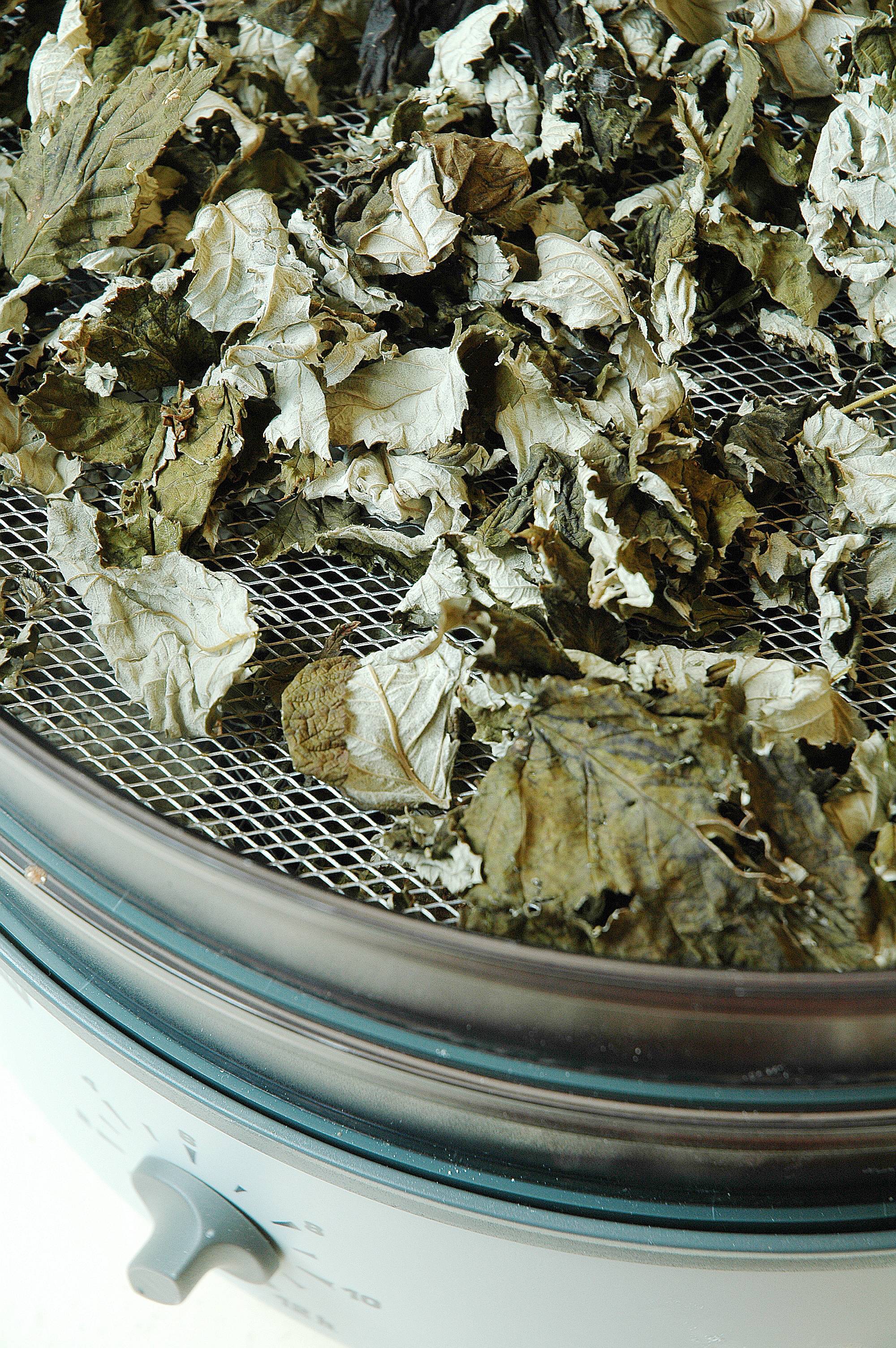 Листья малины в лечебной практике: свойства, рецепты чая