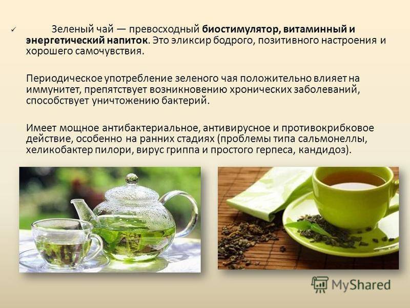 Зеленый чай — 8 фактов о пользе и вреде для организма женщин и мужчин, а также противопоказания