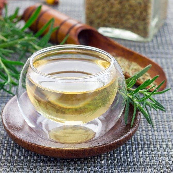 Чай из розмарина: полезные свойства и рецепты приготовления