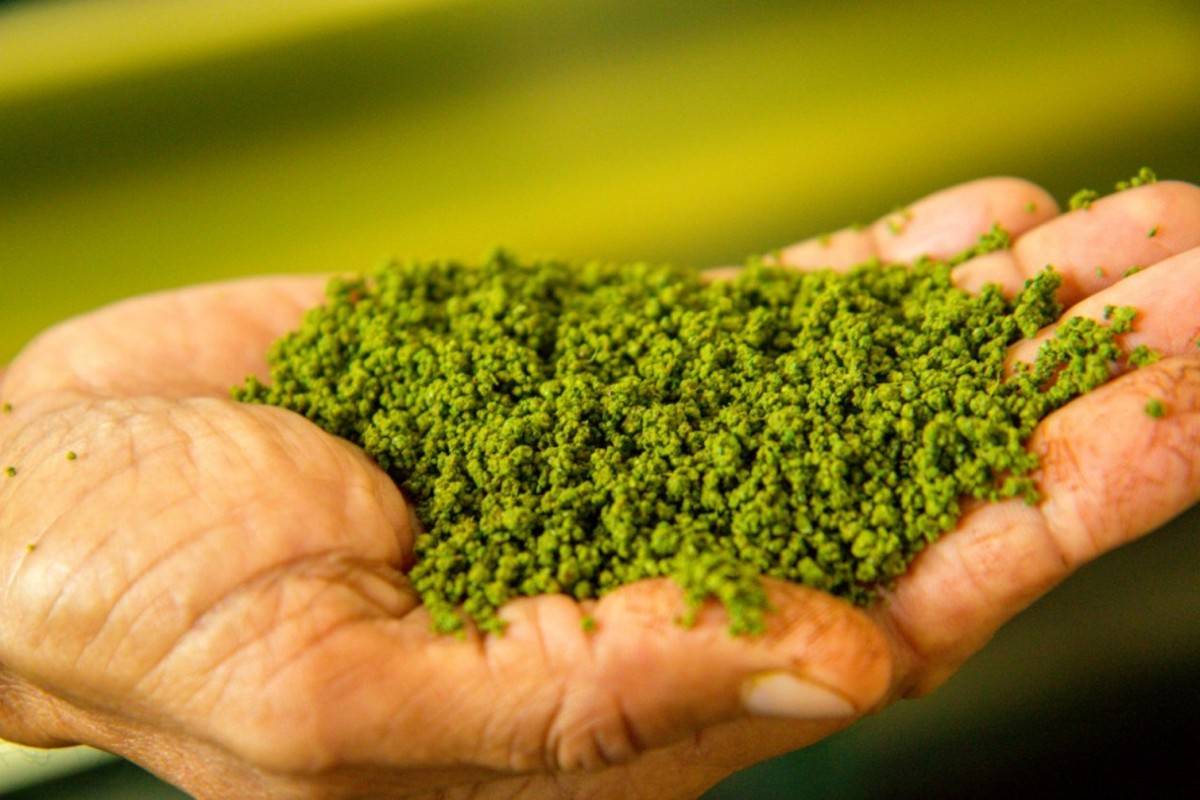 Гранулированный и листовой чай