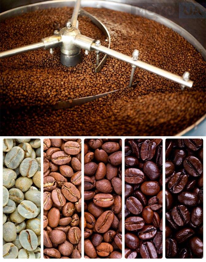 Виды и степени обжарки кофе: какие бывают и в чем разница