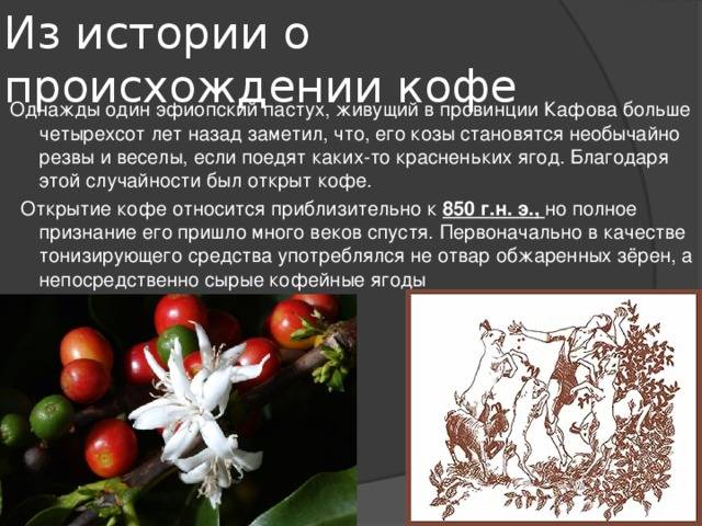 Кофе в россии – история и современность |  coffeedom.ru - онлайн-журнал о кофе
