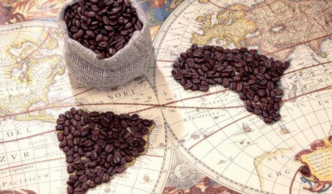 Характеристика австралийского кофе