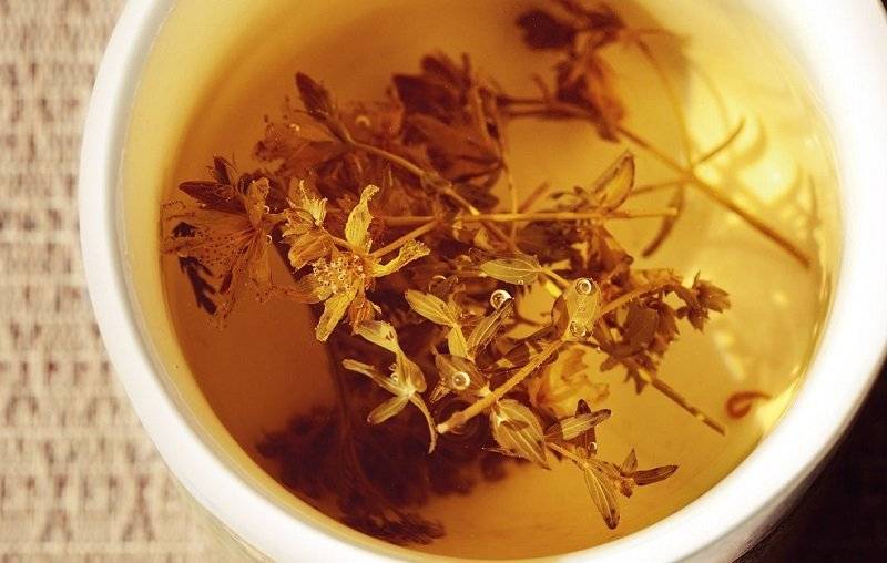 Полезные свойства и противопоказания травяного чая из зверобоя