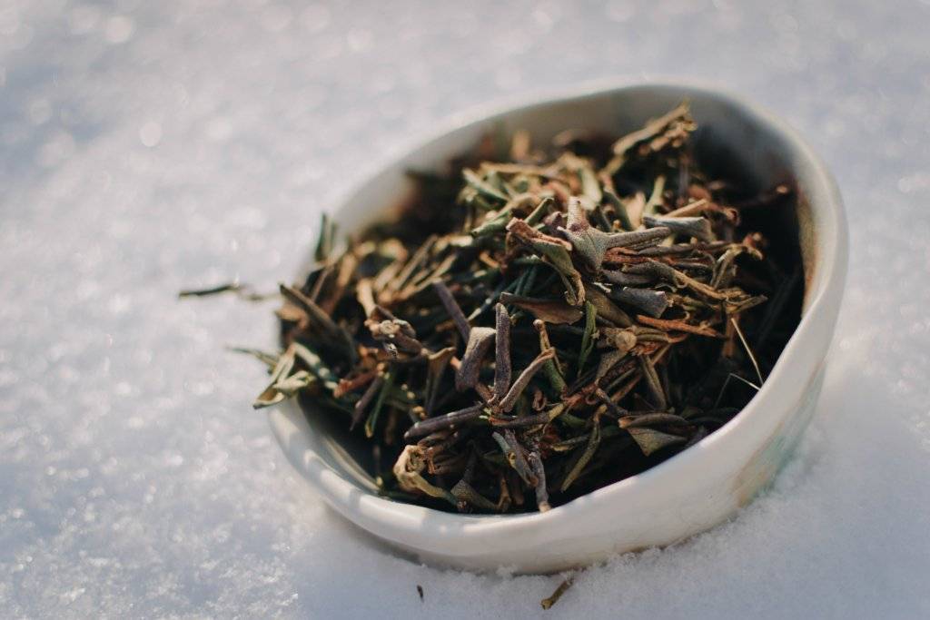 Чай саган дайля: полезные свойства, рецепты, противопоказания