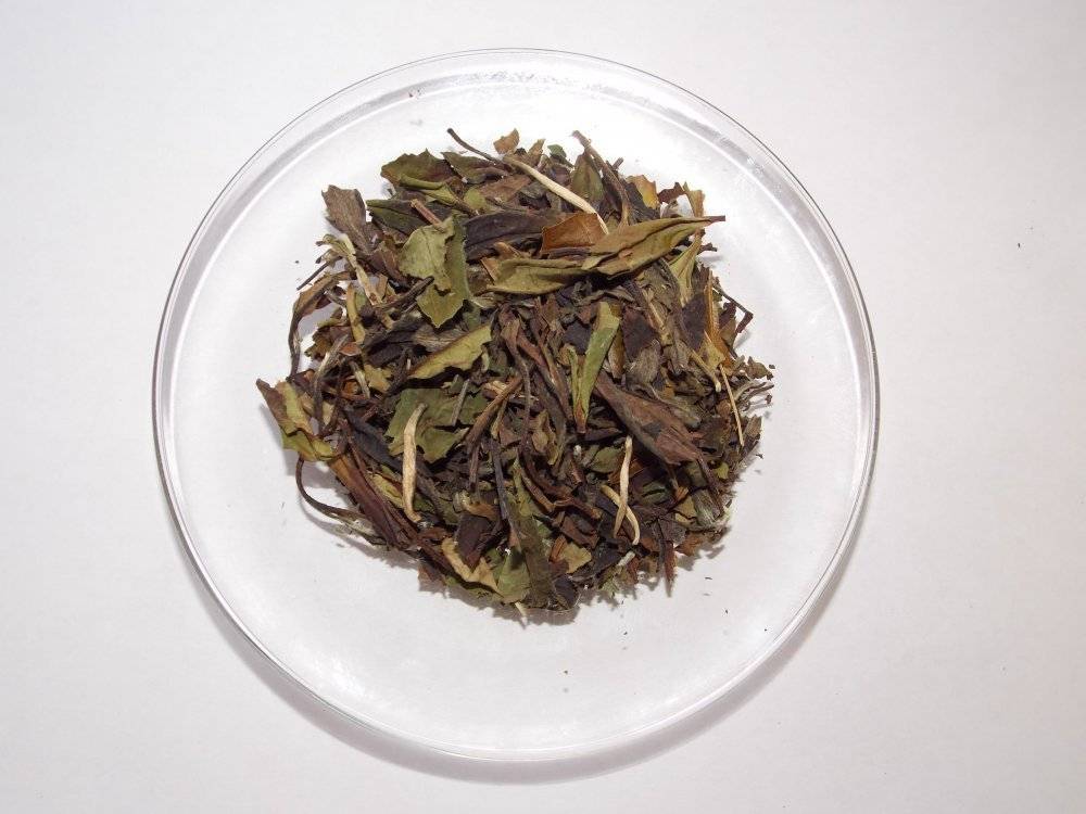 «белый пион» (бай му дань) – китайский белый чай