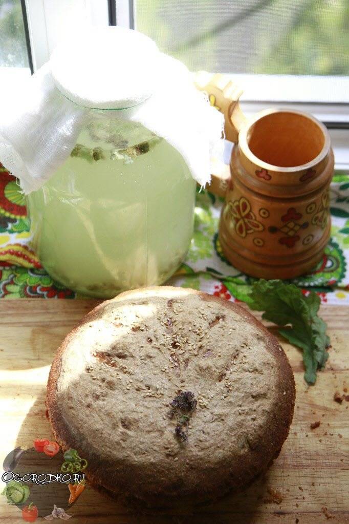 Домашний хлебный квас на 3 литра: рецепты, как сделать вкусный хлебный квас