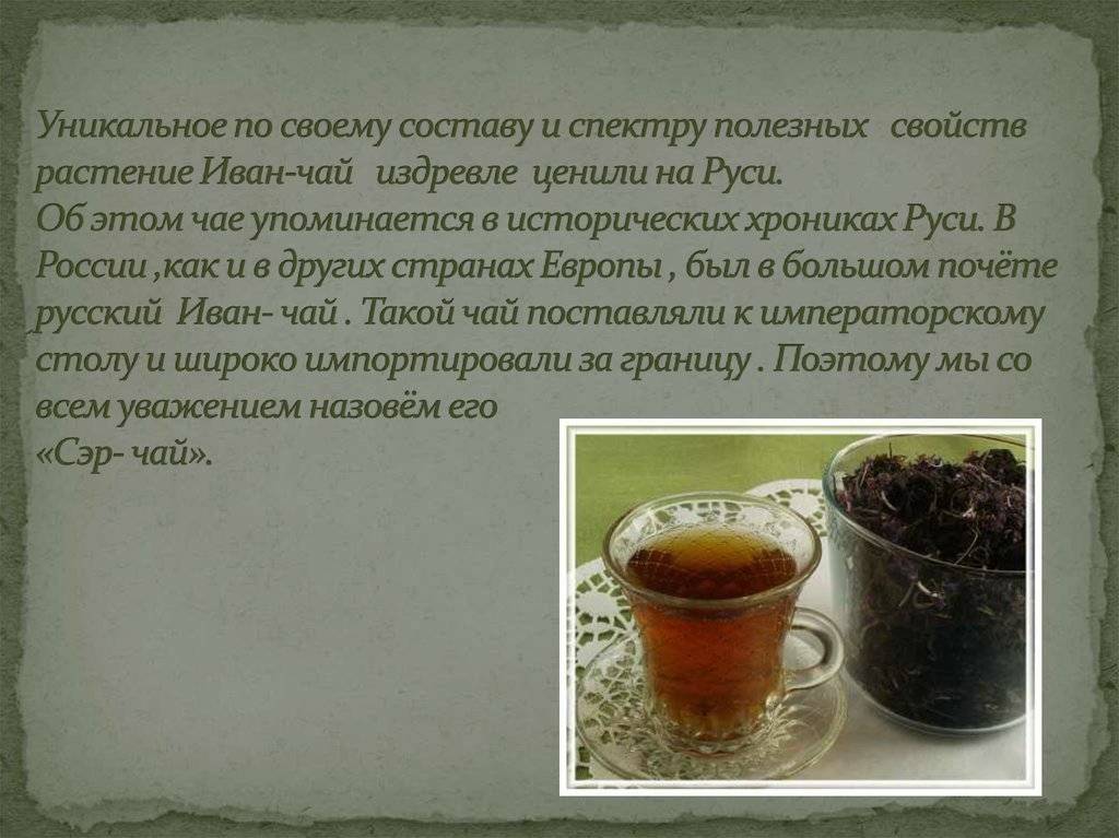 Иван чай для женщин: польза и противопоказания (вред)