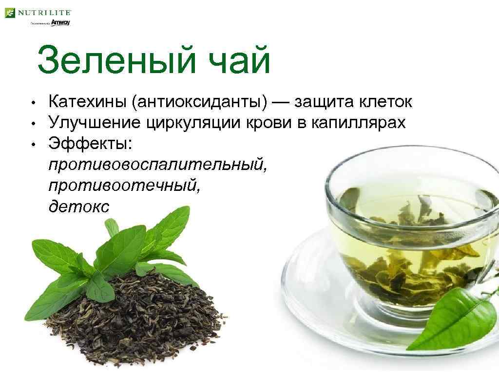 Роль зеленого чая в борьбе с фотостарением, в стрессоустойчивости, нейропротекции и аутофагии