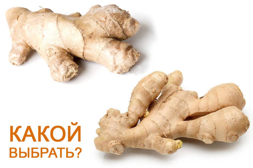 Простые рецепты чая с корнем имбиря и корицей