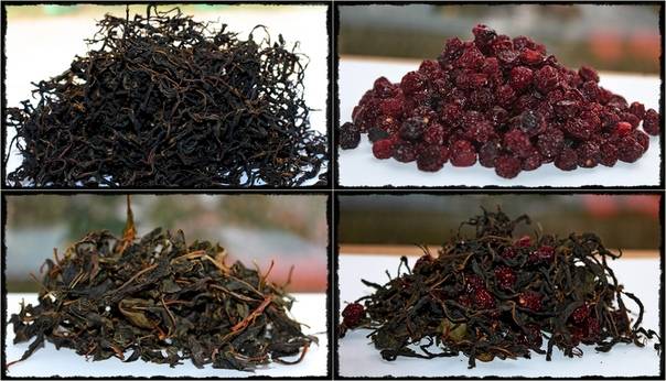 Чай из кленовых листьев: как приготовить? ферментированный чай из листьев клена