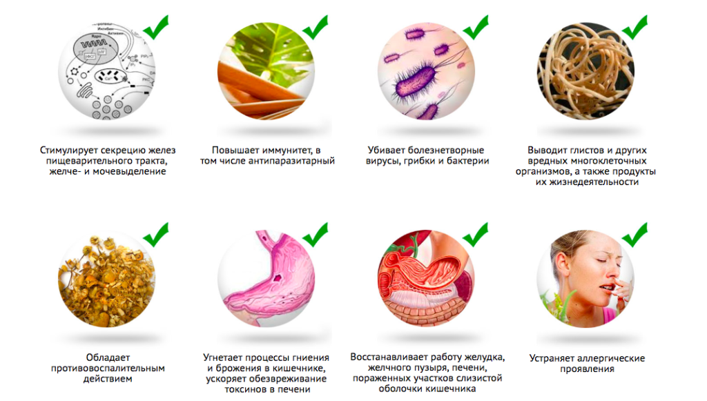 Монастырский чай от паразитов